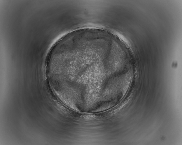 X0000099531310200806061422