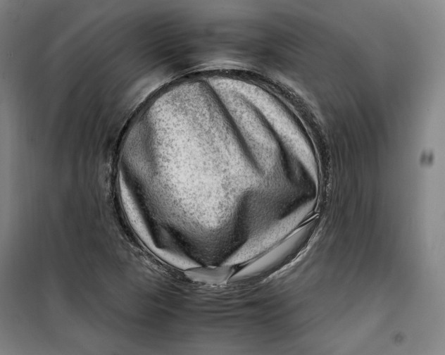 X0000099531313200806061422