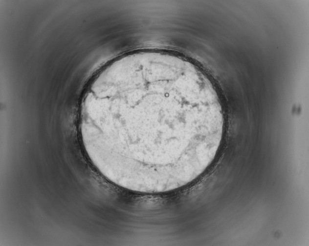 X0000099531314200806061422