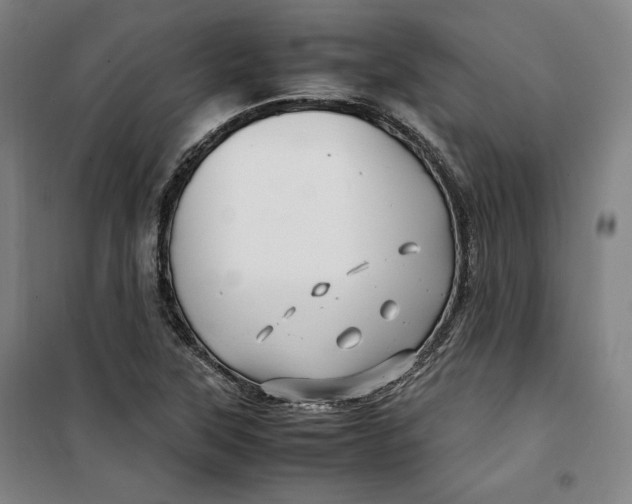 X0000099531315200806061422