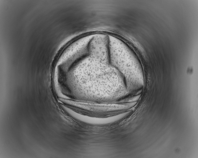 X0000099531316200806061422