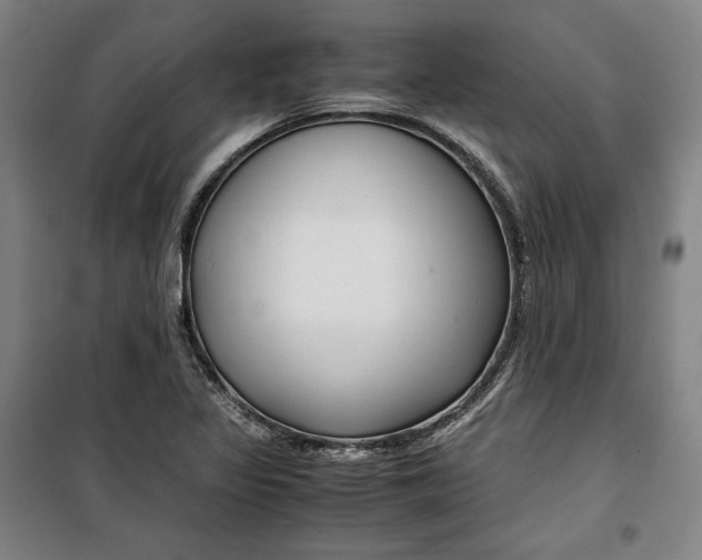 X0000099531317200806061422