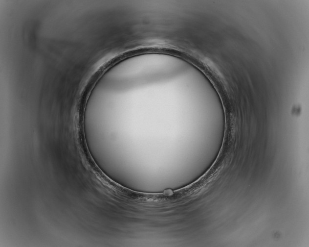 X0000099531318200806061422