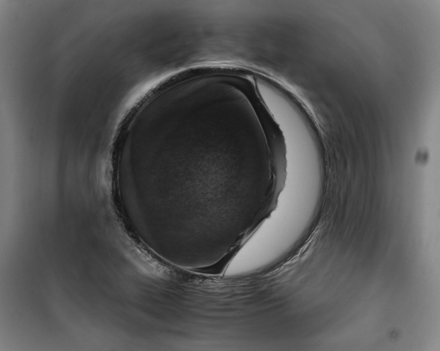 X0000099531319200806061422