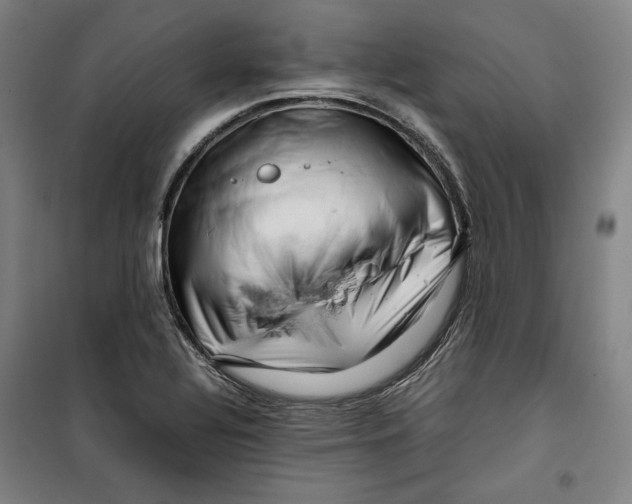 X0000099531320200806061422