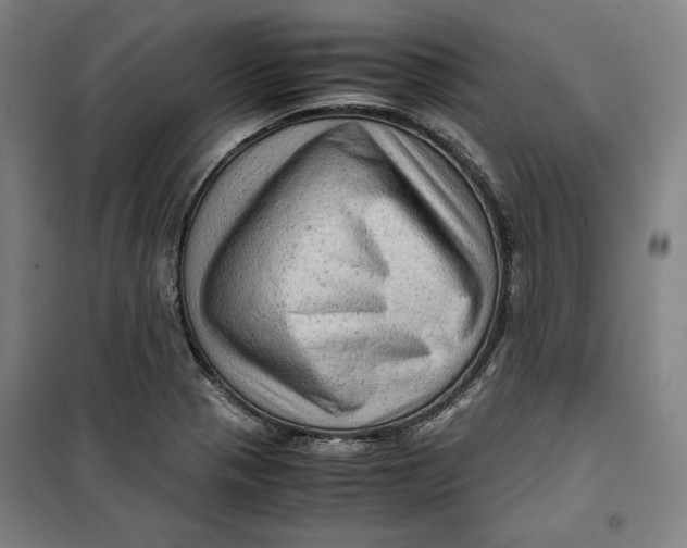 X0000099531321200806061422