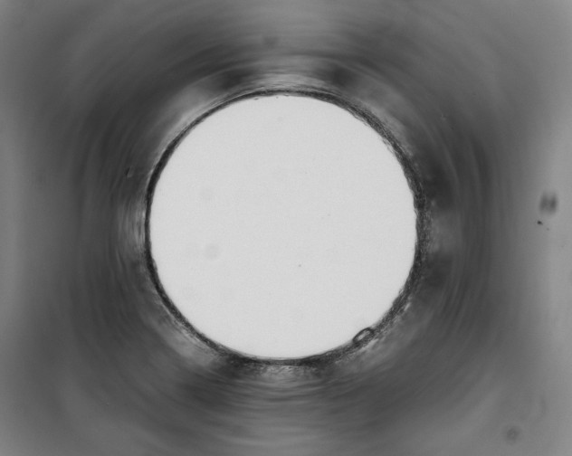 X0000099531322200806061422