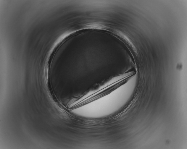 X0000099531323200806061422