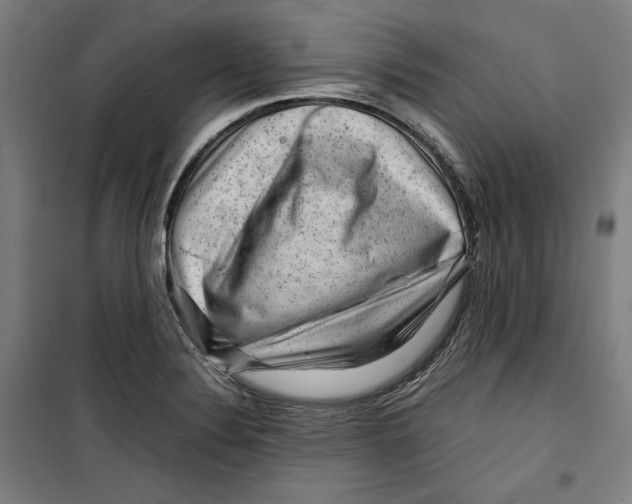 X0000099531324200806061422