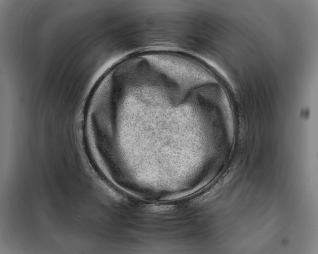 X0000099531325200806061422