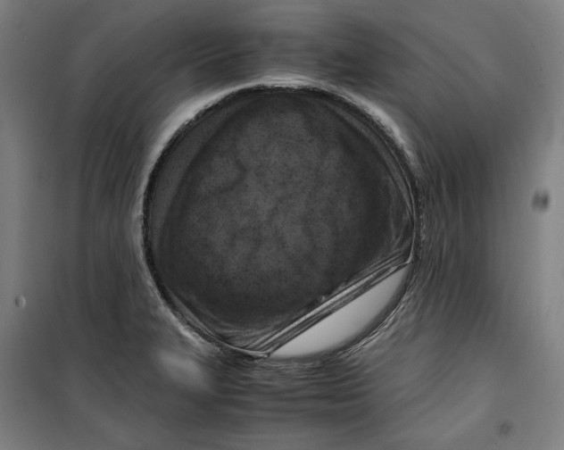 X0000099531327200806061423