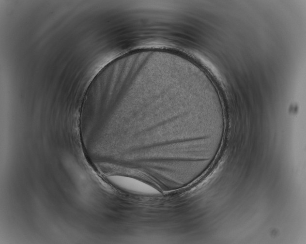 X0000099531329200806061423