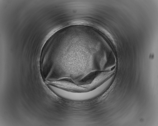 X0000099531330200806061423