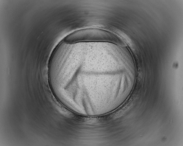 X0000099531332200806061423