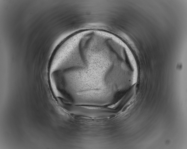 X0000099531336200806061423