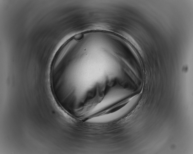 X0000099531339200806061423