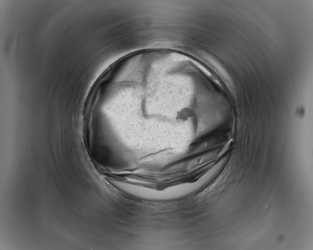 X0000099531340200806061423