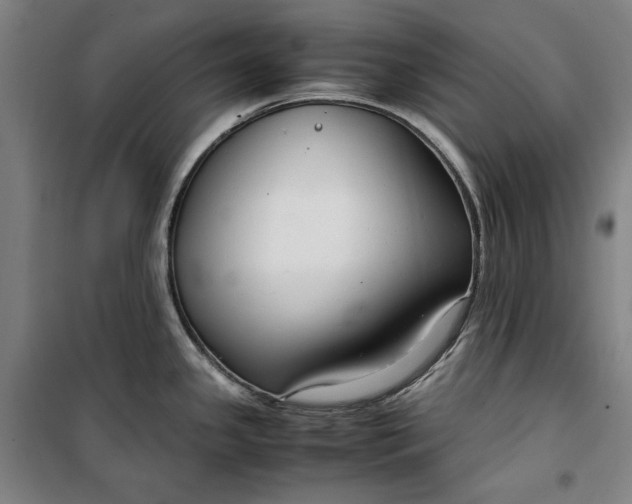 X0000099531341200806061423