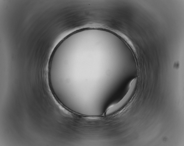 X0000099531343200806061423