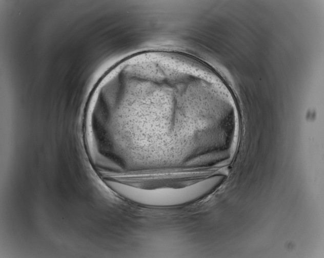 X0000099531344200806061423