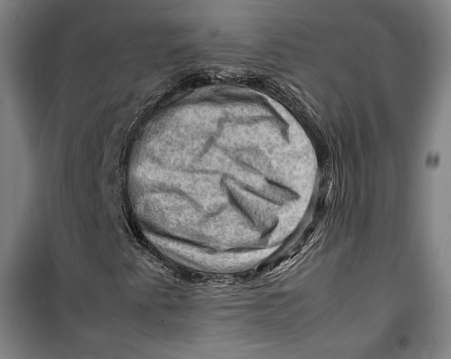 X0000099531345200806061422