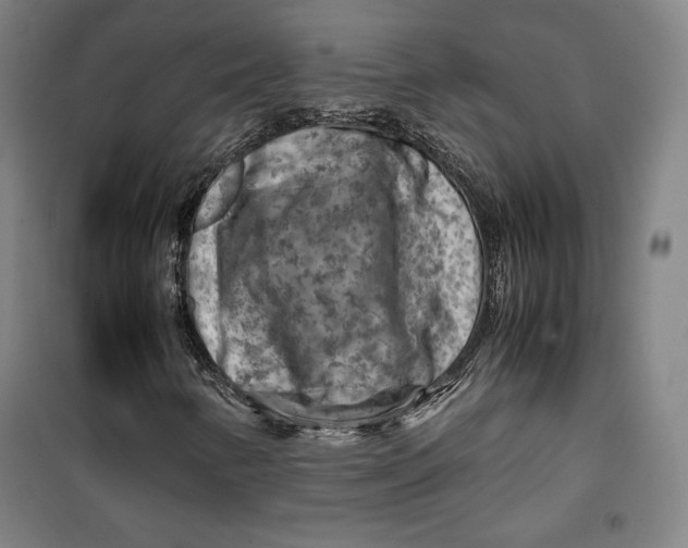 X0000099531346200806061422