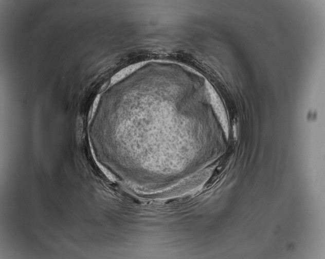 X0000099531347200806061422