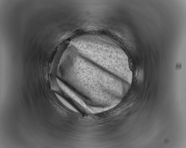 X0000099531348200806061422