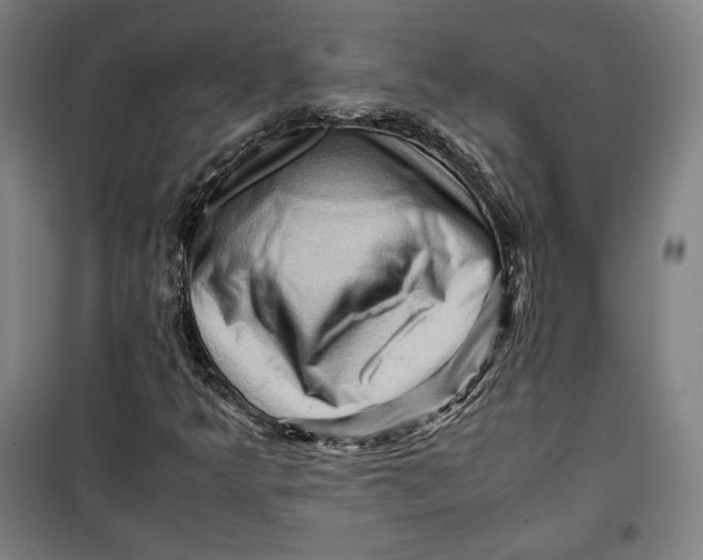 X0000099531349200806061422