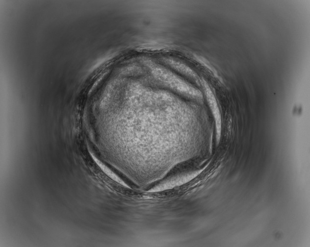 X0000099531350200806061422