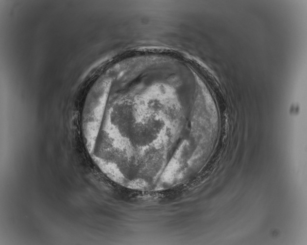 X0000099531351200806061422