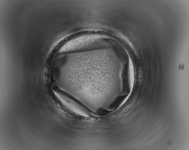 X0000099531352200806061422