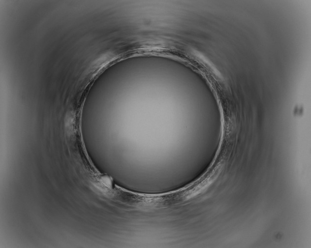 X0000099531353200806061422