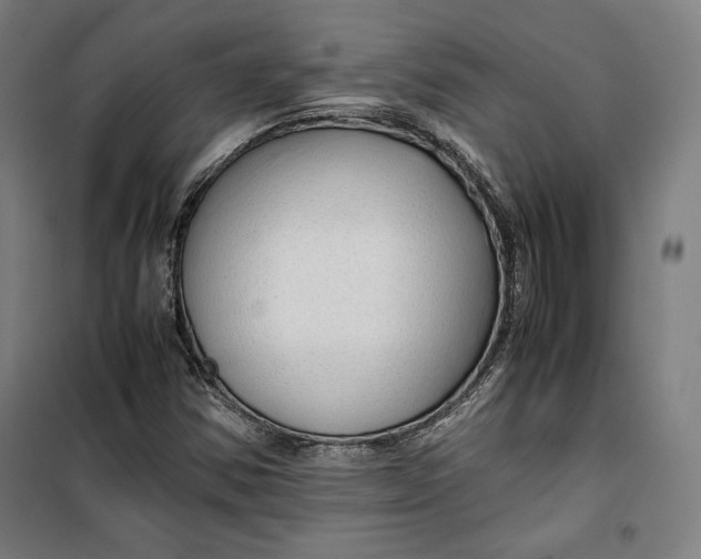 X0000099531354200806061422