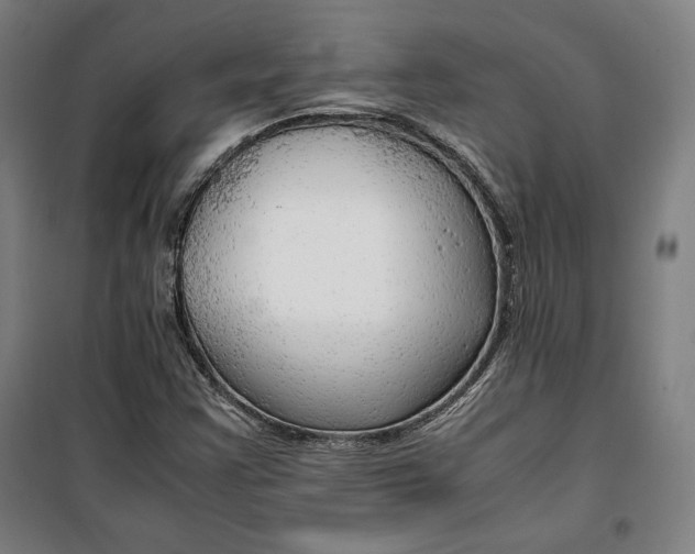 X0000099531355200806061422