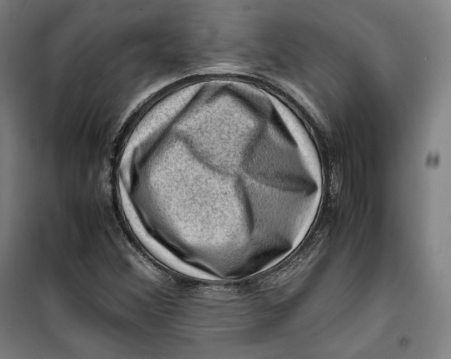 X0000099531356200806061422