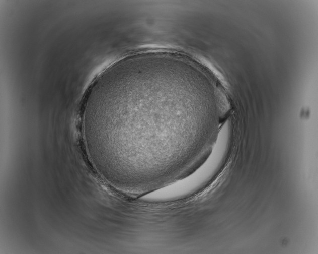 X0000099531357200806061422