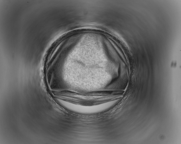 X0000099531360200806061422