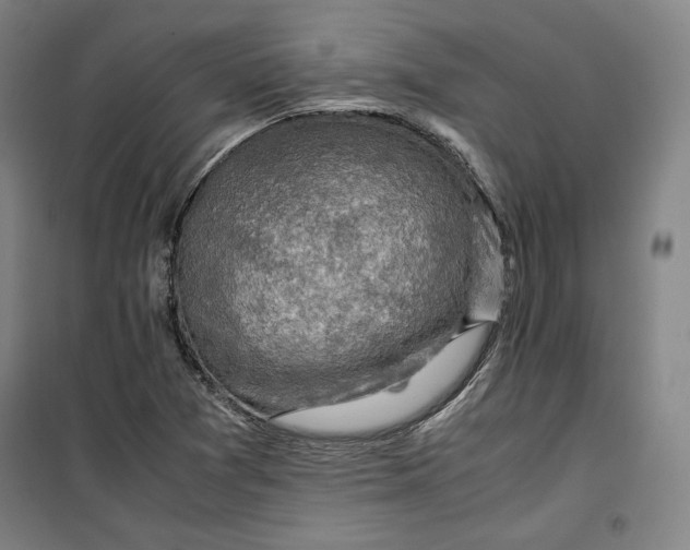 X0000099531361200806061422