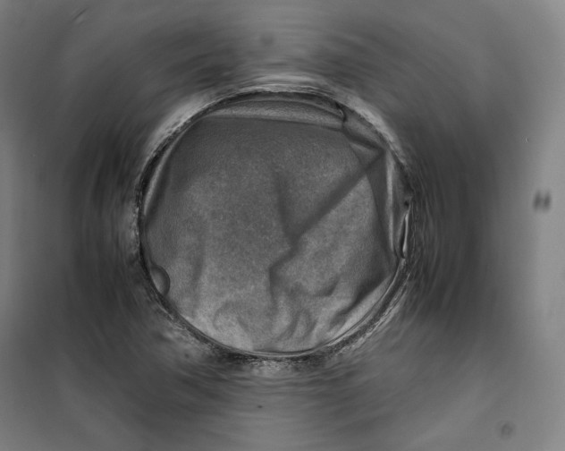 X0000099531362200806061422