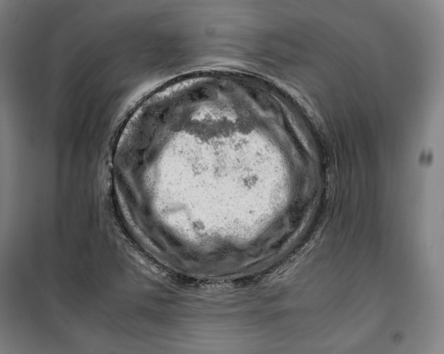 X0000099531363200806061422