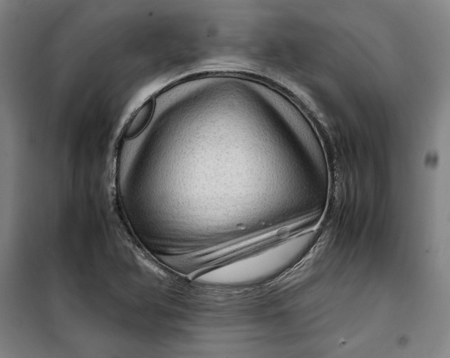 X0000099531366200806061422