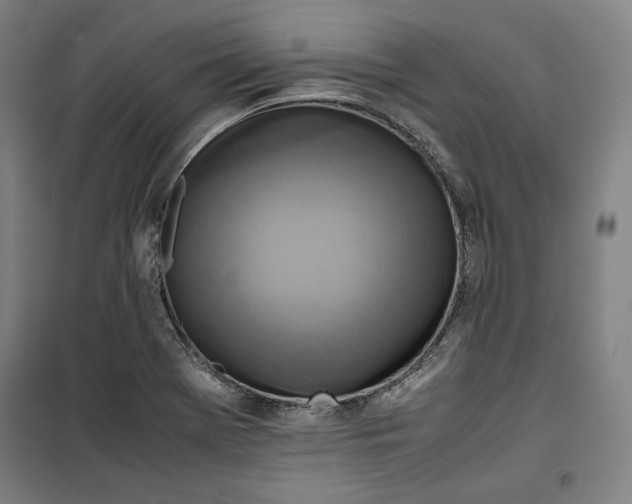 X0000099531369200806061422