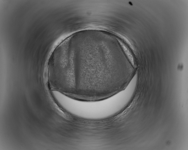 X0000099531371200806061422