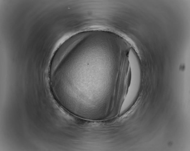 X0000099531373200806061422