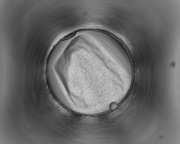 X0000099531374200806061422