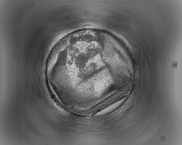 X0000099531375200806061422