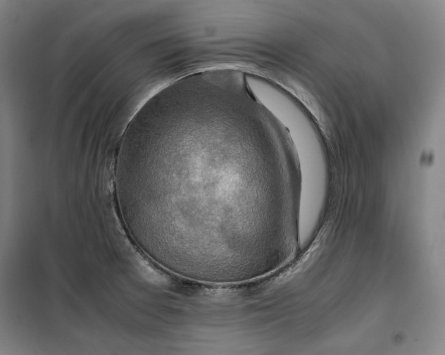 X0000099531377200806061422