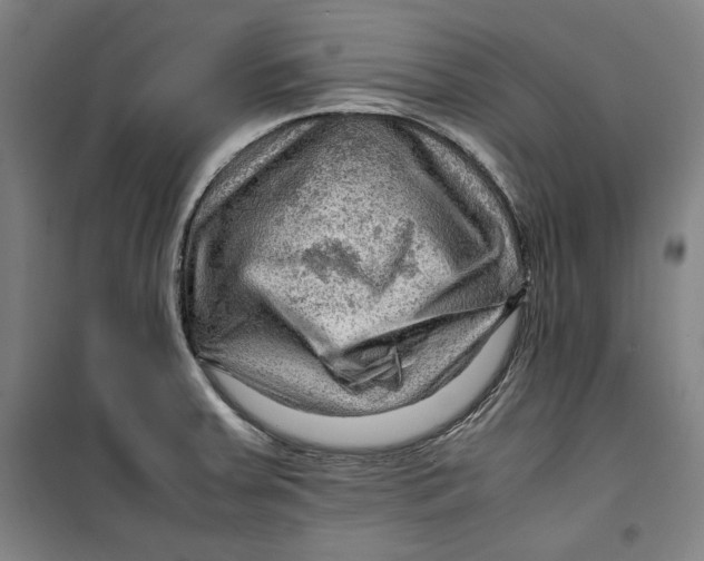 X0000099531379200806061422