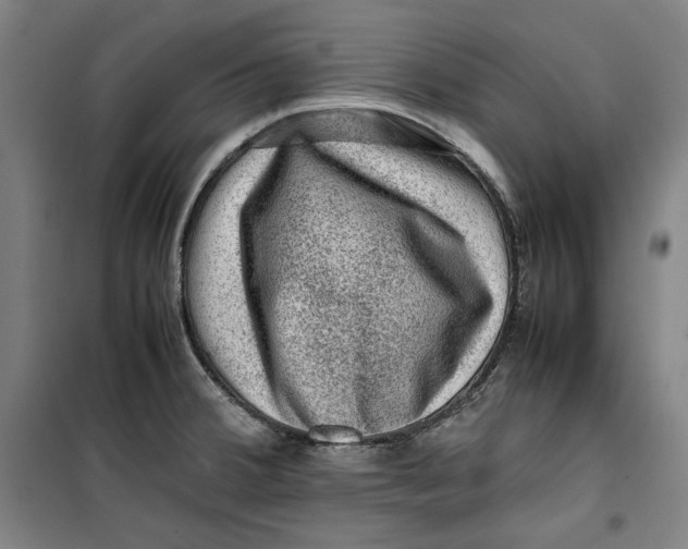 X0000099531380200806061422